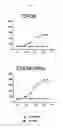 Fig. 04 - Assays for identifying compounds that modulate bitter taste