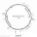 Fig. 05 - Botulinum assay with synaptobrevin substrate moiety