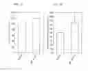 Fig. 04 - METHOD FOR SCREENING SKIN BARRIER FUNCTION ENHANCING AGENT BASED ON EPIDERMAL SERINE RACEMASE AND/OR D-SERINE LEVEL, AND SKIN BARRIER FUNCTION EVALUATION METHOD