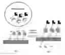 Fig. 01 - METHODS FOR CONDUCTING MULTIPLEXED ASSAYS