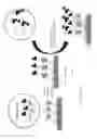 Fig. 02 - METHODS FOR CONDUCTING MULTIPLEXED ASSAYS