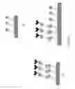 Fig. 15 - METHODS FOR CONDUCTING MULTIPLEXED ASSAYS