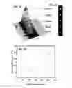 Fig. 05 - Assay device