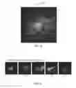 Fig. 11 - Systems, methods, and workflows for optogenetics analysis