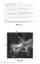 Fig. 12 - Systems, methods, and workflows for optogenetics analysis