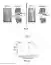 Fig. 23 - Systems, methods, and workflows for optogenetics analysis