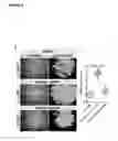 Fig. 07 - Methods for detecting molecules in a sample