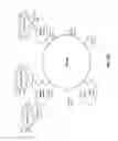 Fig. 03 - Compositions and methods for aptamer screening
