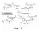 Fig. 03 - Methods and compositions for analyzing proteins