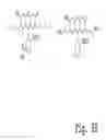 Fig. 08 - Methods and compositions for analyzing proteins