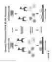 Fig. 14 - Methods for Early Diagnosis of Kidney Disease