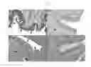 Fig. 04 - Compositions and Methods for Detection of Defensins in a Patient Sample