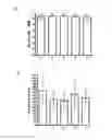 Fig. 05 - RGMa Fragment Based Diagnostic Assay