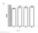 Fig. 08 - RGMa Fragment Based Diagnostic Assay