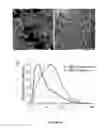 Fig. 15 - METHODS FOR ANALYZING BLOOD TO DETECT DISEASES ASSOCIATED WITH ABNORMAL PROTEIN AGGREGATION