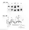 Fig. 02 - Method for determining agent capacity to alter pH using poly dA nucleic acid switches