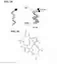 Fig. 03 - Method for determining agent capacity to alter pH using poly dA nucleic acid switches