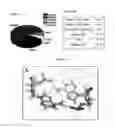 Fig. 14 - Method for determining agent capacity to alter pH using poly dA nucleic acid switches