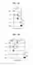 Fig. 05 - Magnetic resonance imaging apparatus and method of operating the same