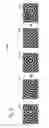 Fig. 07 - Device and method for velocity function extraction from the phase of ambient noise