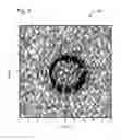 Fig. 08 - Device and method for velocity function extraction from the phase of ambient noise