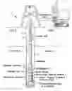 Fig. 01 - FAST SCINTILLATION HIGH DENSITY OXIDE AND OXY-FLUORIDE GLASS AND NANO-STRUCTURED MATERIALS FOR WELL LOGGING APPLICATIONS