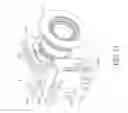 Fig. 12 - Projector