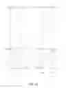 Fig. 20 - ADJUSTABLE OPTICAL STEREOSCOPIC GLASSES