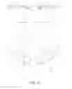 Fig. 22 - ADJUSTABLE OPTICAL STEREOSCOPIC GLASSES