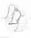 Fig. 03 - Multi-pane, multi-geometry goggle eye-shield