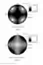 Fig. 06 - Liquid crystal display and optical compensation method therefor
