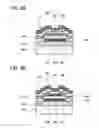 Fig. 10 - Display device and display module