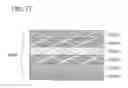 Fig. 80 - Liquid crystal display device