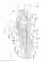 Fig. 04 - Liquid immersion member, exposure apparatus, exposing method, method of manufacturing device, program, and recording medium