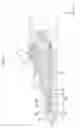 Fig. 08 - Liquid immersion member, exposure apparatus, exposing method, method of manufacturing device, program, and recording medium