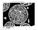 Fig. 01 - Ferrite particle having outer shell structure, ferrite carrier core material for electrophotographic developer, and electrophotographic developer