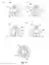 Fig. 78 - Developer supply container and developer supplying system