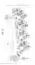 Fig. 03 - Developing device, visible-image-forming device, and image forming apparatus