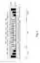Fig. 05 - Heater, image heating apparatus including the heater and manufacturing method of the heater
