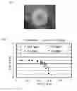 Fig. 08 - Multi-hole orifice plate for flow control, and flow controller using the same