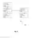 Fig. 12 - PREVENTION OF DISEASES VIA ARTIFICIAL SOIL EXPOSURE