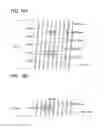 Fig. 17 - Display panel, input/output device, and data processor