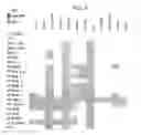 Fig. 09 - Systems and methods for sustainable self-cooling of central processing unit thermal hot spots using thermoelectric materials