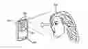 Fig. 01 - Distracted browsing modes