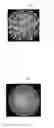 Fig. 01 - Information observation method and information observation device