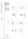 Fig. 12 - CUSTOMIZABLE DATA MANAGEMENT SYSTEM