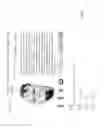 Fig. 18 - CUSTOMIZABLE DATA MANAGEMENT SYSTEM