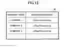 Fig. 13 - Information processing system, information processing method and non-transitory computer readable information recording medium
