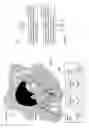 Fig. 04 - Selective invocation of playback content supplementation