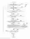 Fig. 14 - Layered vector architecture compatibility for cross-system portability
